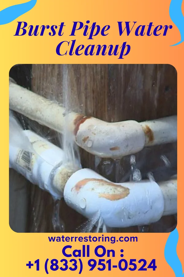 Burst Pipe Water Cleanup in Turnerville, WY