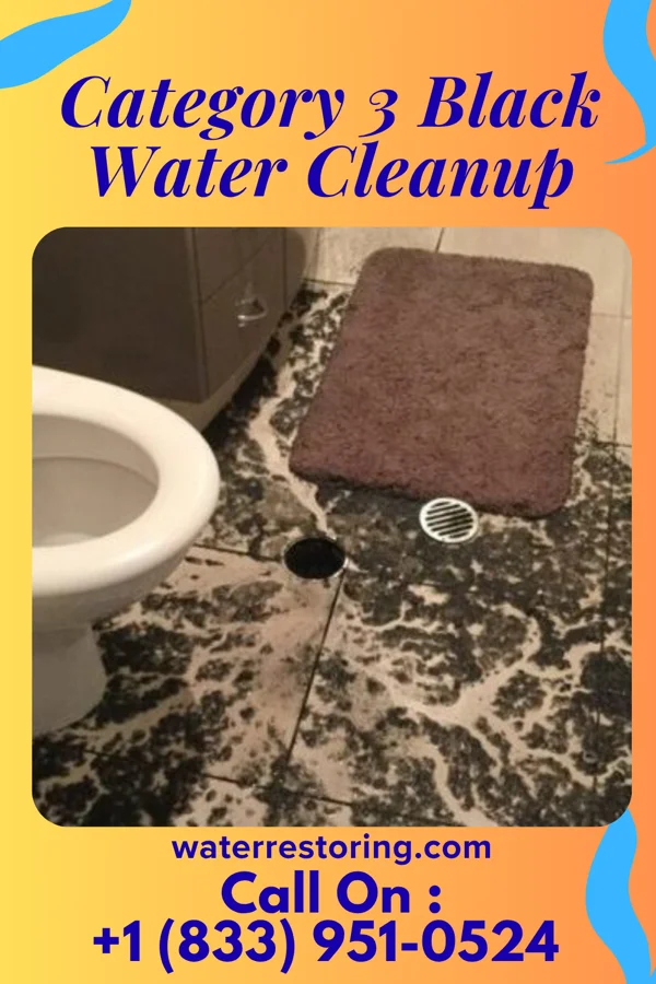 Category 3 Black Water Cleanup in Turnerville, WY