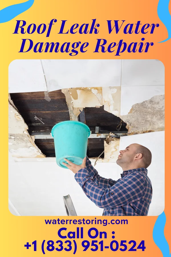 Roof Leak Water Damage Repair in Turnerville, WY